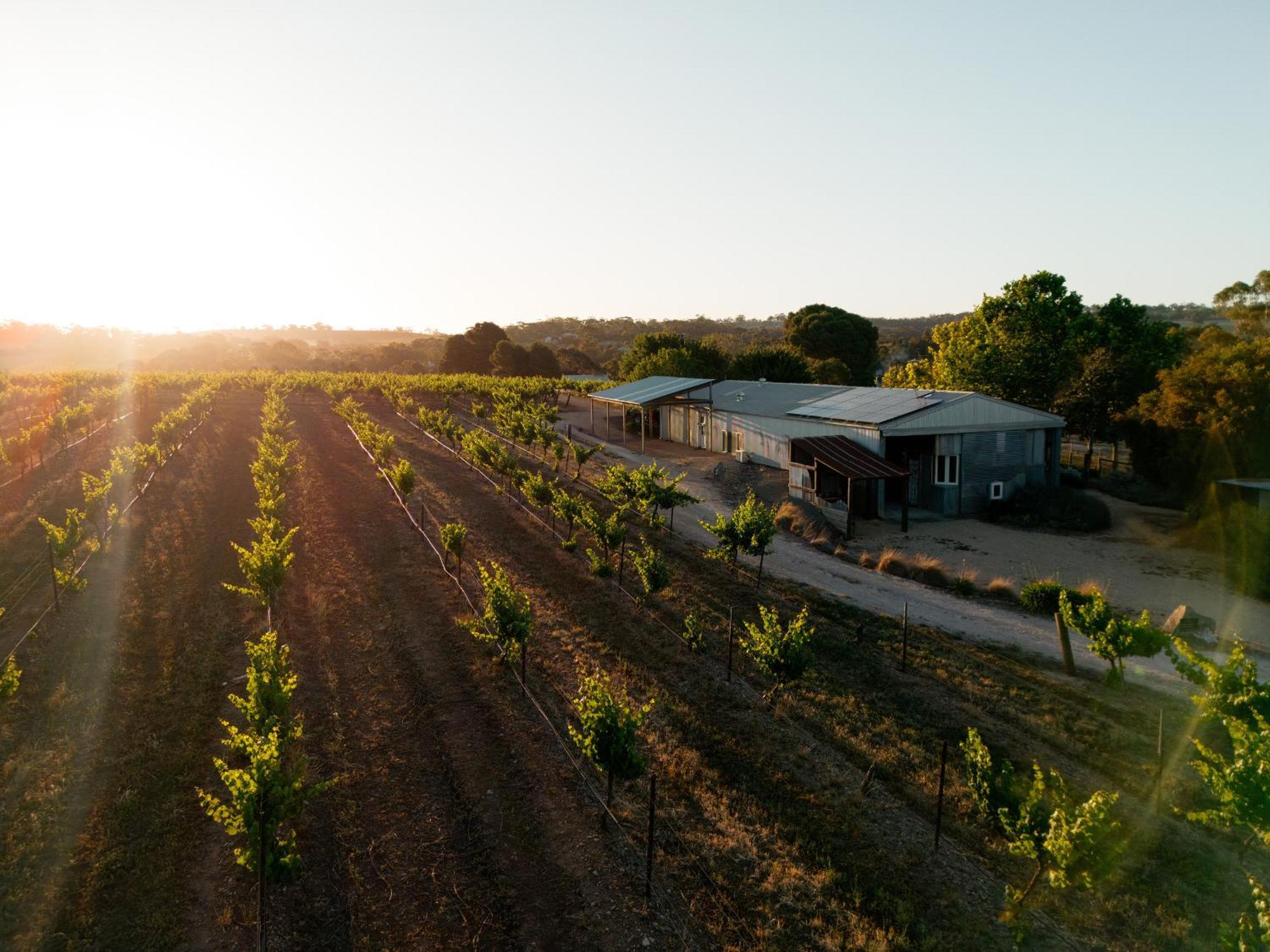 Bed In A Shed Vineyard Stay Watervale Esterno foto